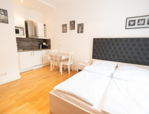 Charmante Apartments Frankfurt City - Frankfurt am Main